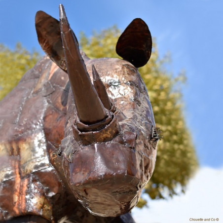 Rhinocéros