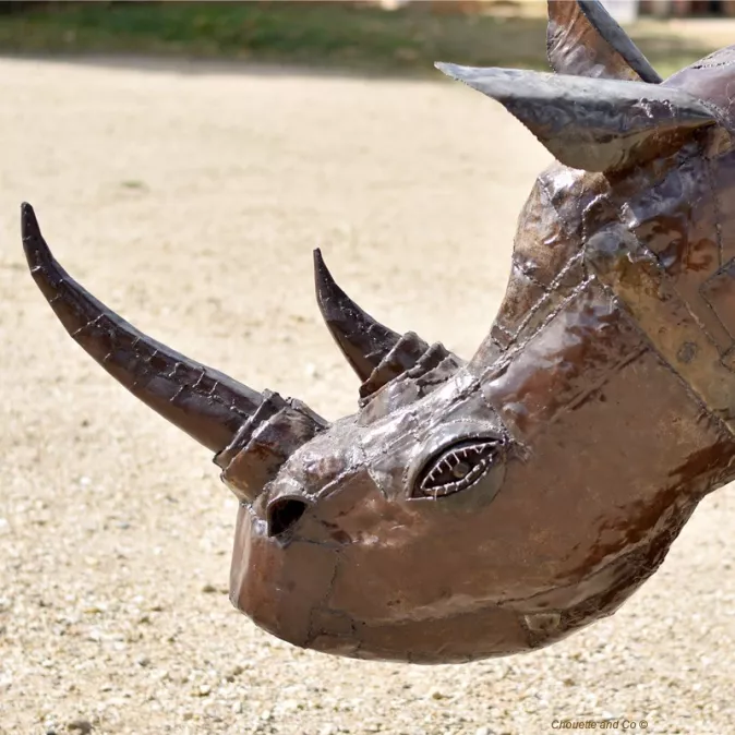 Rhinocéros 