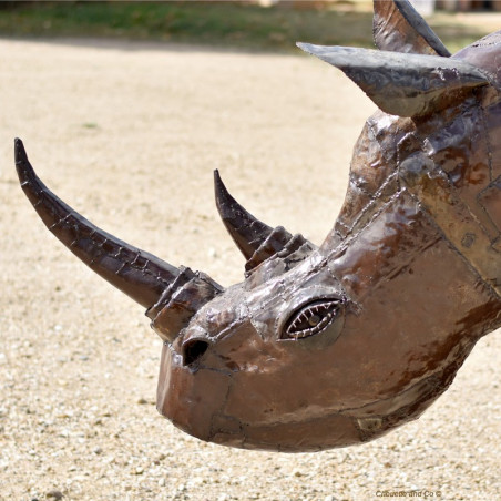 Rhinocéros 