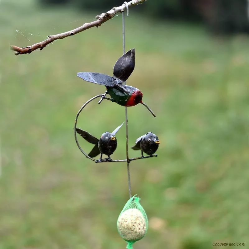 Suspension colibri en vol 