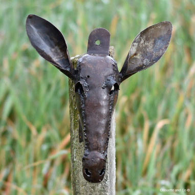 Antilope kudu