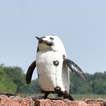 Pingouin blanc PM