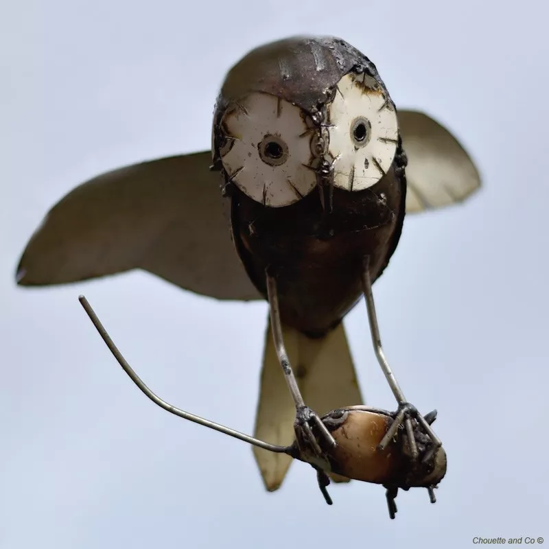 Chouette en vol et souris