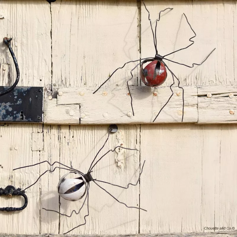 Araignée couleur duo