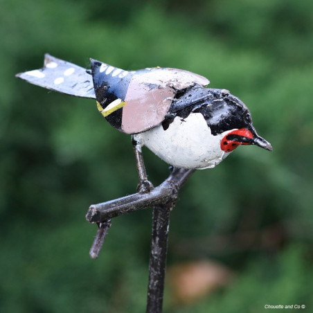 Chardonneret élégant sur tuteur