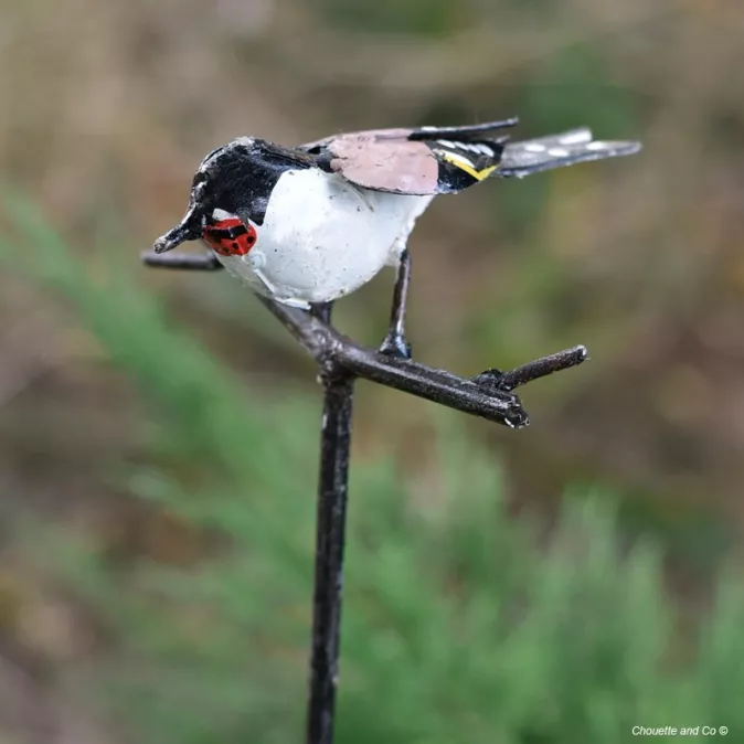 Chardonneret élégant sur tuteur