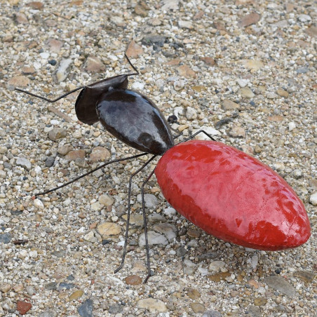 Fourmi rouge 80 cm
