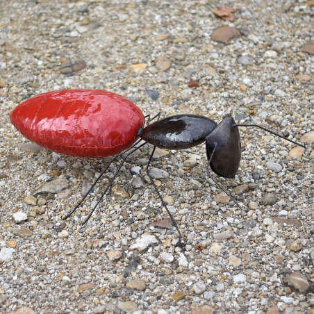 Fourmi rouge 80 cm