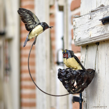 Nid d'hirondelle et ses deux petits
