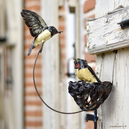 Nid d'hirondelle et ses deux petits