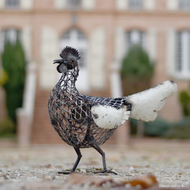 Poule blanche wire