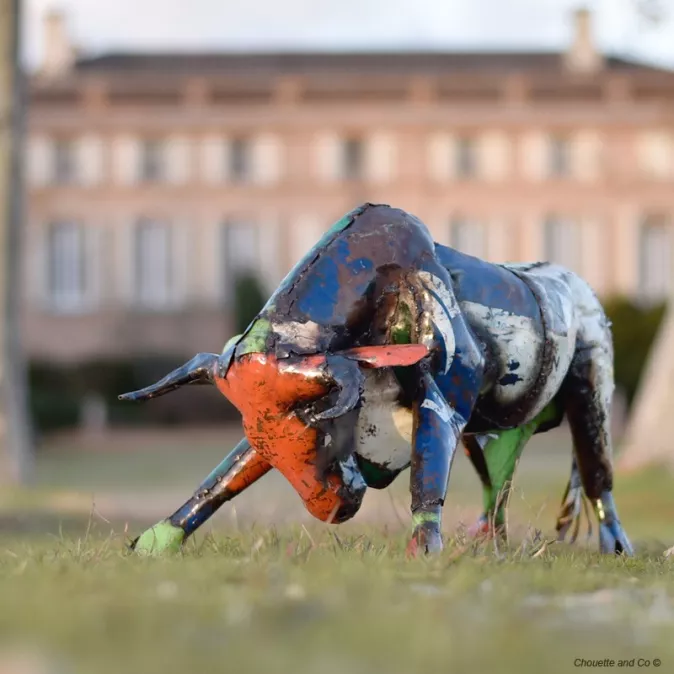 Taureau couleur