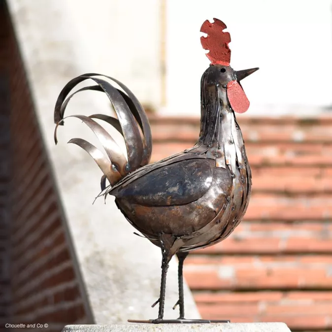 Coq lamelles naturel 