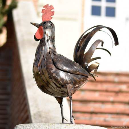 Coq lamelles naturel 