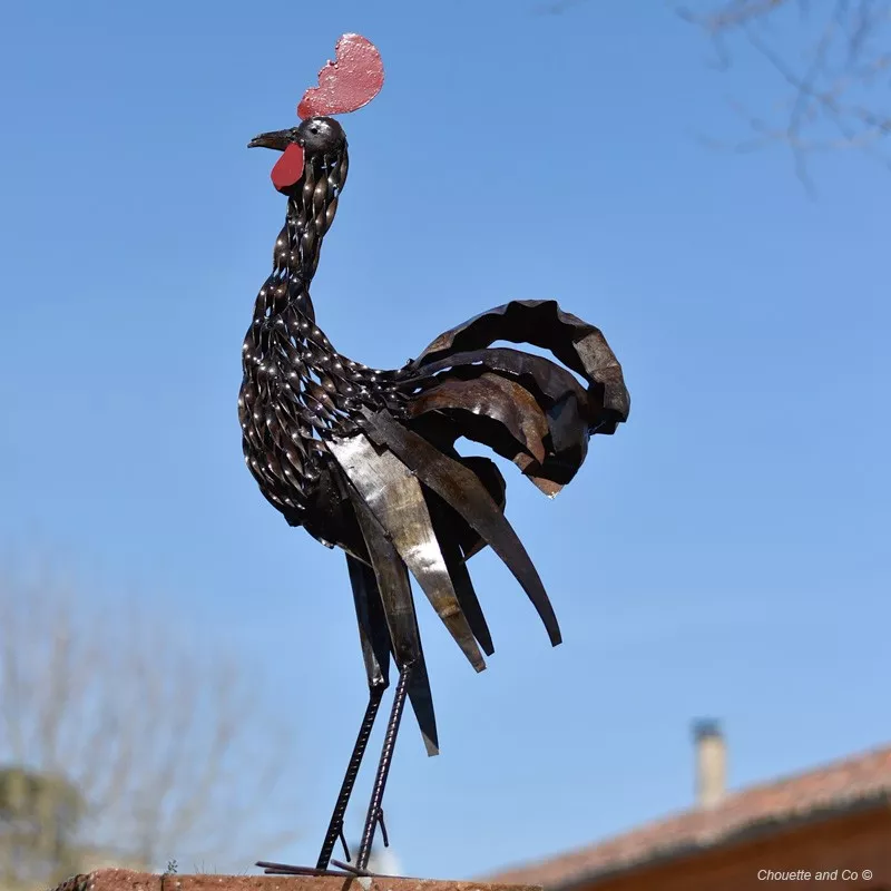 Coq semi torsadé grand modèle