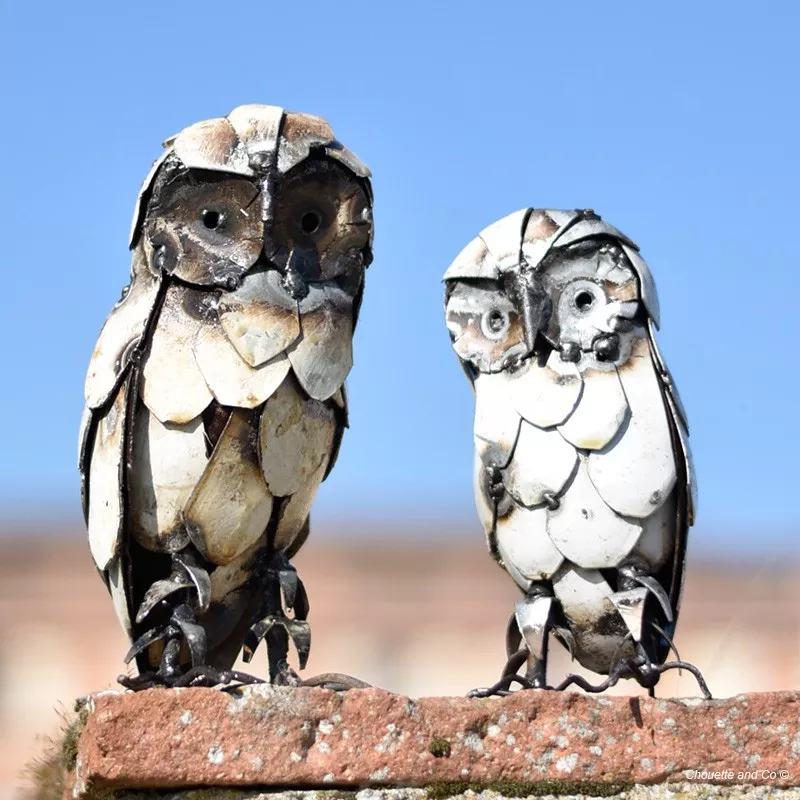 Chouette blanche plumes