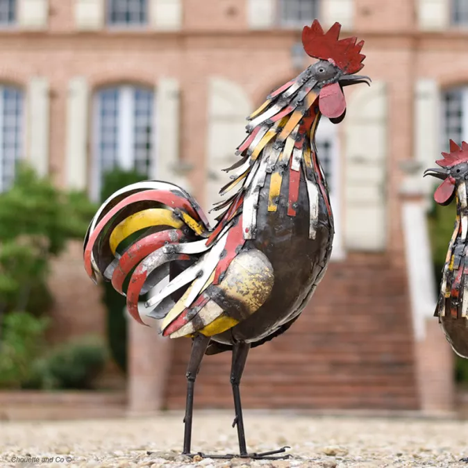 Coq lamelles jaune rouge plumes