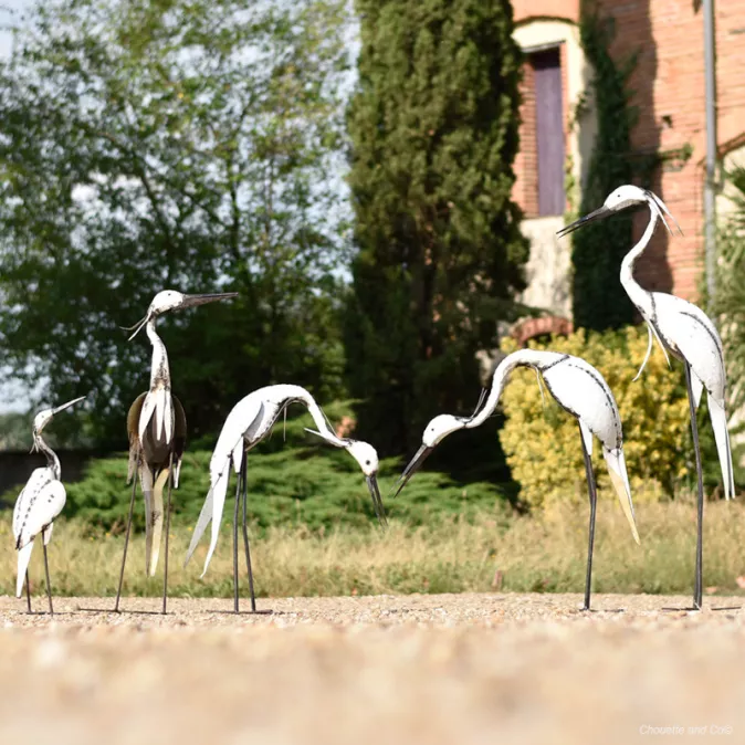 Héron tout blanc