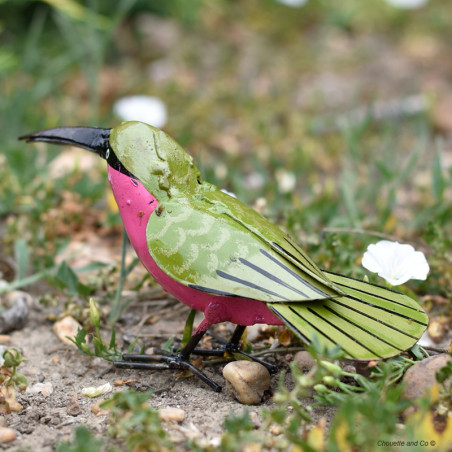 Colibri rose peint main