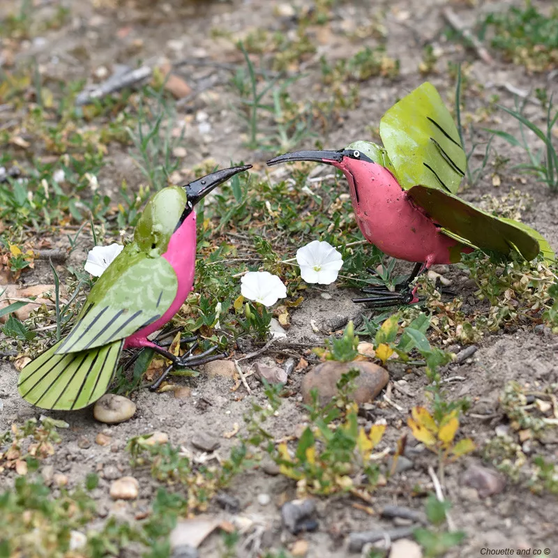 Colibri rose peint main