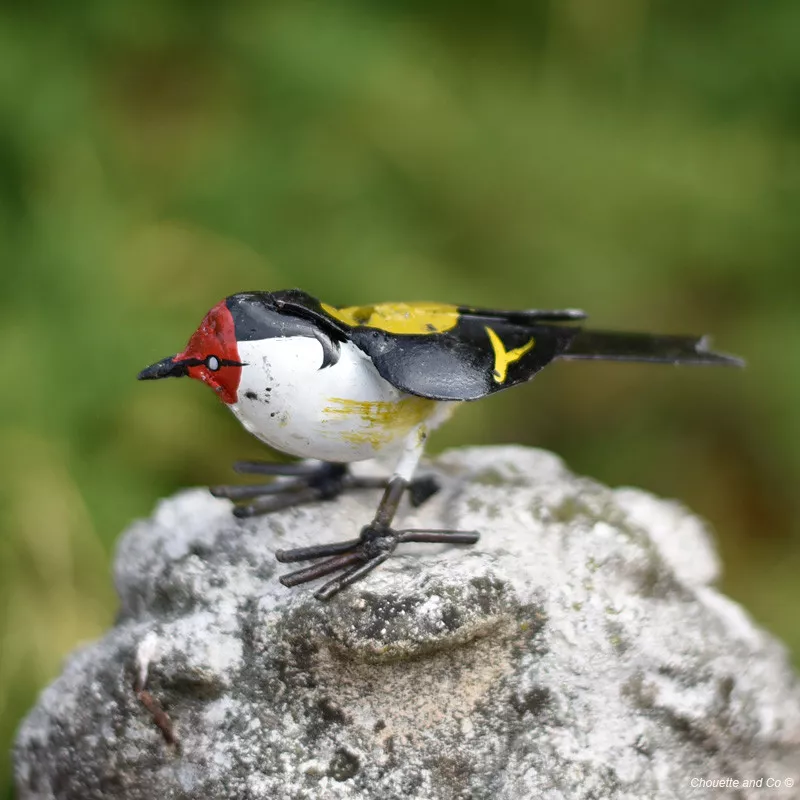 Chardonneret élégant