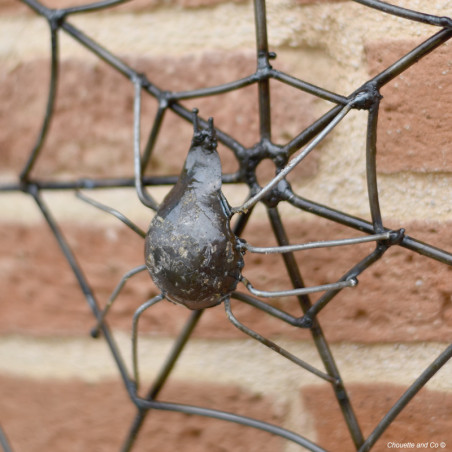 Araignée sur toile