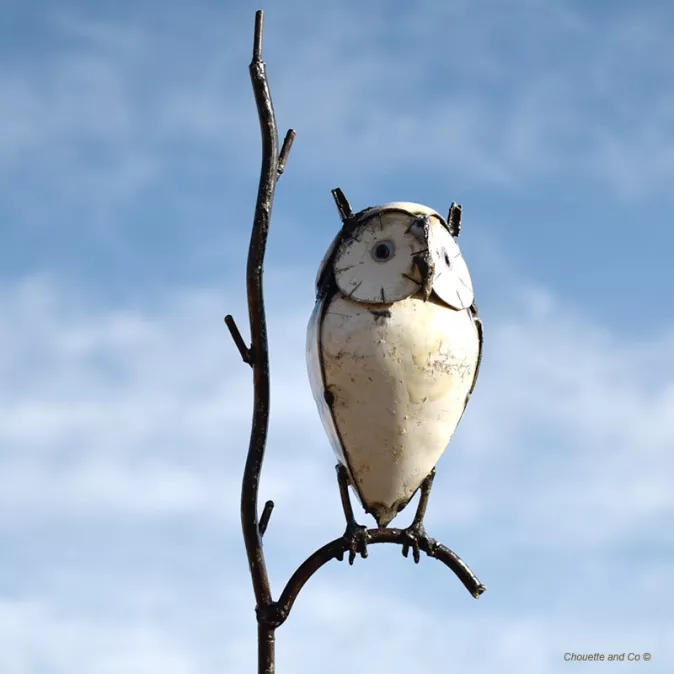 Hibou blanc sur branche sur tuteur