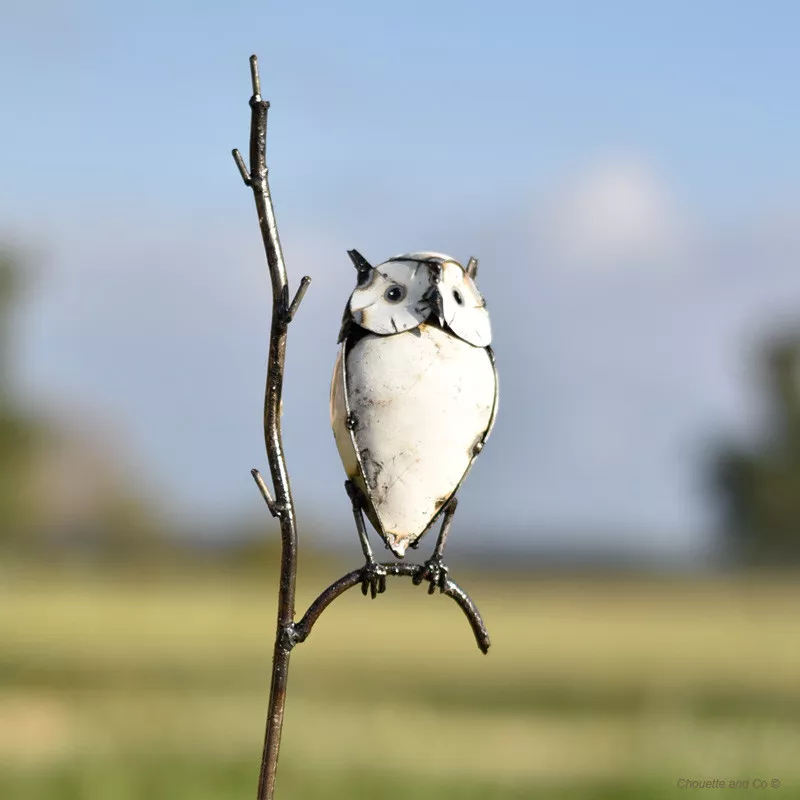Hibou blanc sur branche sur tuteur