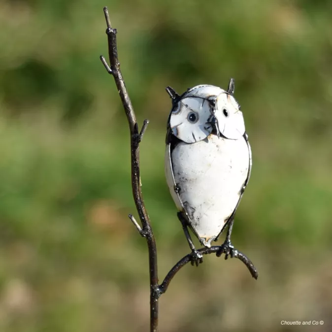 Hibou blanc sur branche sur tuteur