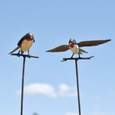 Hirondelle point rouge sur tuteur