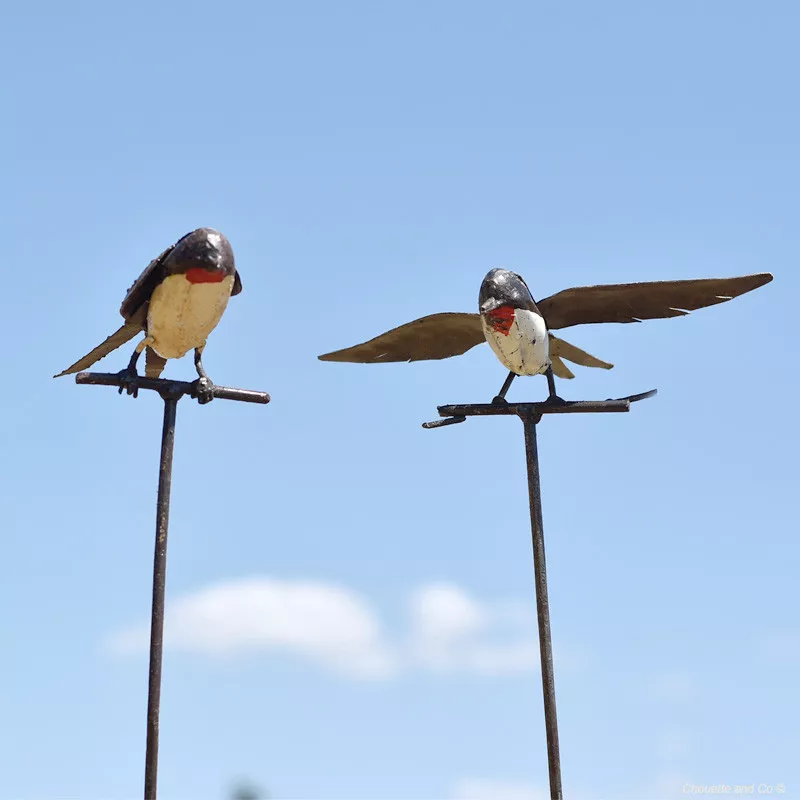 Hirondelle point rouge sur tuteur