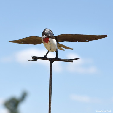 Hirondelle point rouge sur tuteur