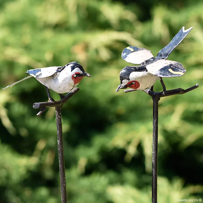 Chardonneret élégant sur tuteur