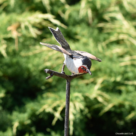 Chardonneret élégant sur tuteur