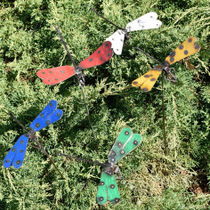 Libellule mix couleur sur tuteur