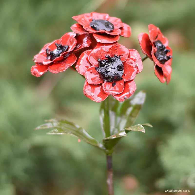 Anémones rouges sur tuteur