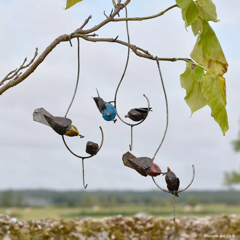 Oiseau couleur sur fil et son bébé