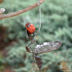 Mangeoire feuille 1 oiseau couleur 2