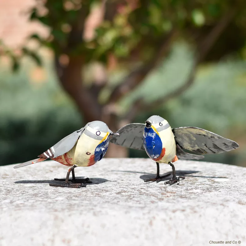 Gorge bleu à miroir