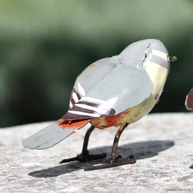 Gorge bleu à miroir