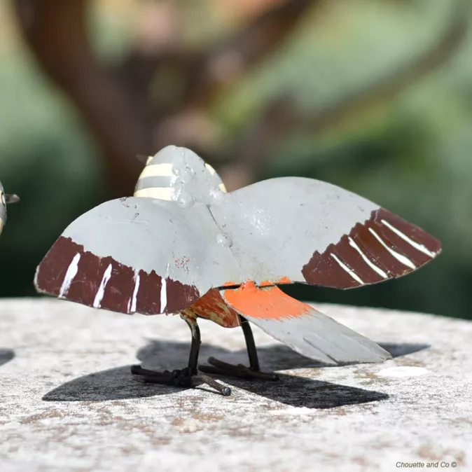 Gorge bleu à miroir