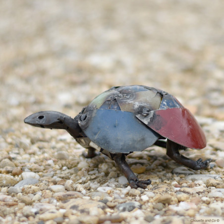 Tortue couleur