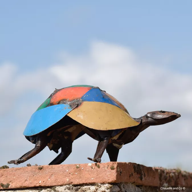 Tortue couleur