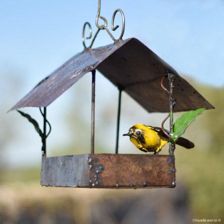 Mangeoire maison et son oiseau coloré