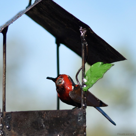 Mangeoire maison et son oiseau coloré