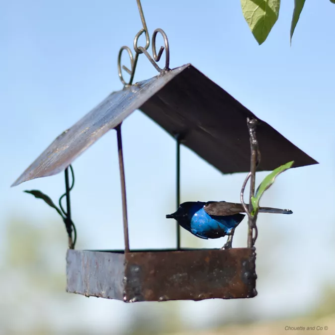 Mangeoire maison et son oiseau coloré