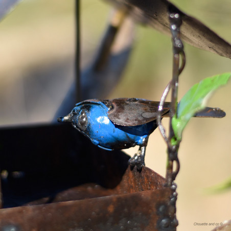 Mangeoire maison et son oiseau coloré