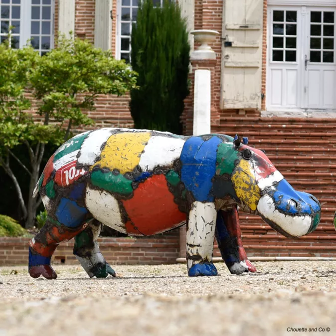 Hippopotame couleur