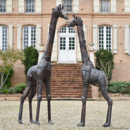 Girafe naturelle
