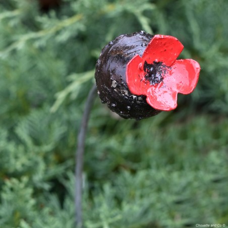 Fleur de pavot sur tuteur